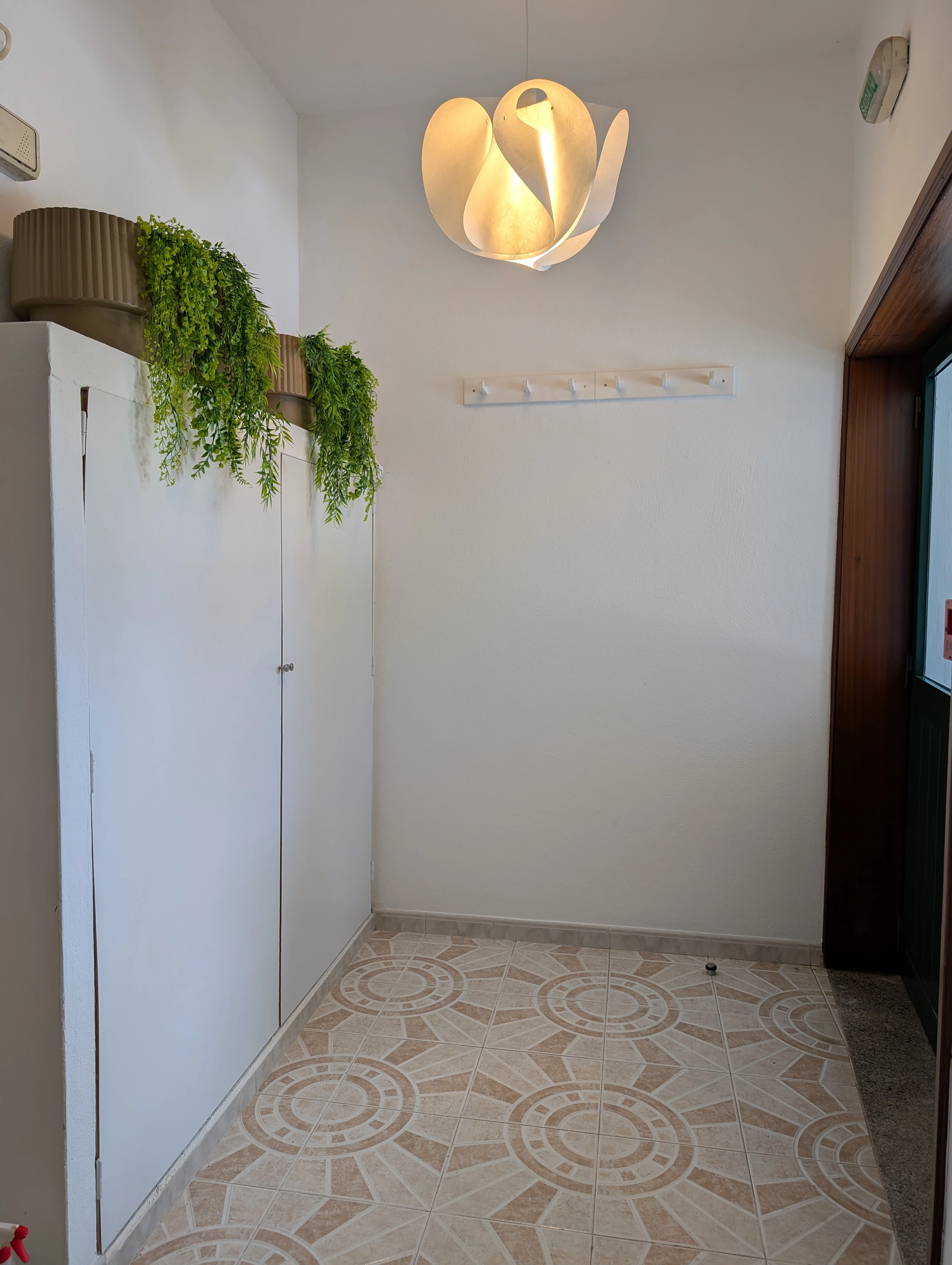Entrance area with white cabinets, plants, and decorative lighting.